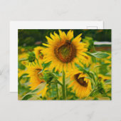 絵を描花 ポストカード (正面/裏面)