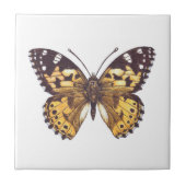 絵を描蝶蝶 タイル (正面)