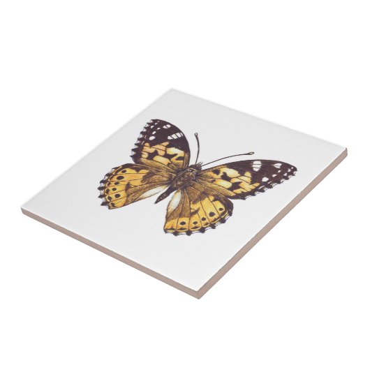 絵を描蝶蝶 タイル (側面)