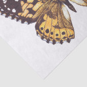 絵を描蝶蝶 薄葉紙 (詳細)