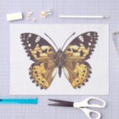 絵を描蝶蝶 薄葉紙 (クラフト)