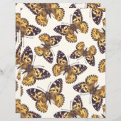 絵を描蝶 (正面/裏面)