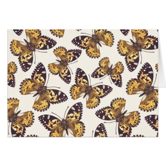 絵を描蝶 (正面横)