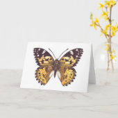 絵を描蝶 カード (黄色い花)