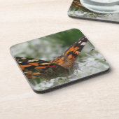 絵を描蝶 コースター (左側)