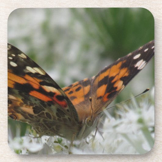 絵を描蝶 コースター (正面)