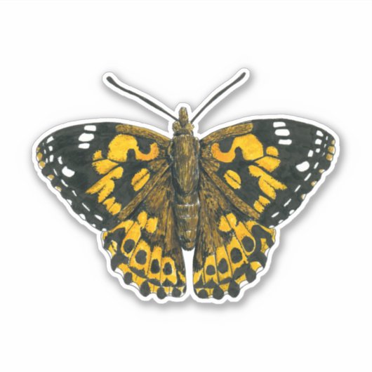 絵を描蝶 シール (正面)