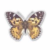 絵を描蝶 シール (正面)