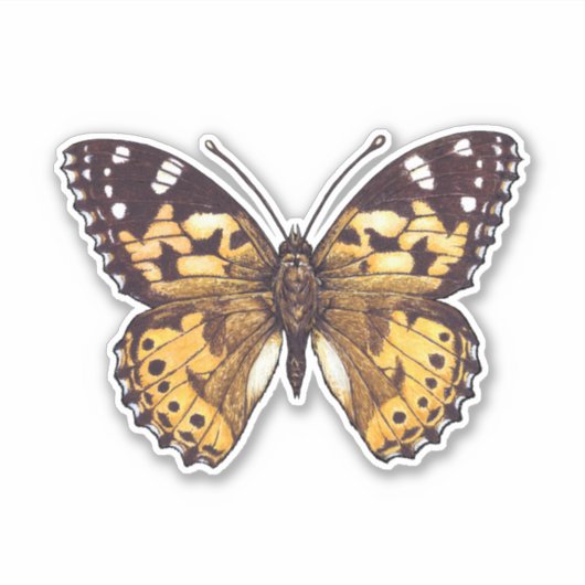 絵を描蝶 シール (正面)