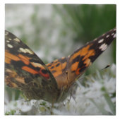 絵を描蝶 タイル (正面)