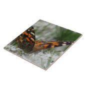 絵を描蝶 タイル (側面)