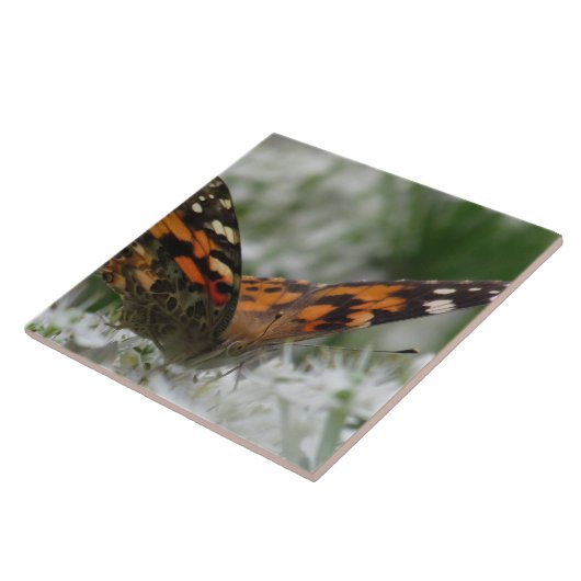 絵を描蝶 タイル (側面)