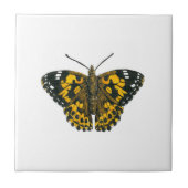絵を描蝶 タイル (正面)