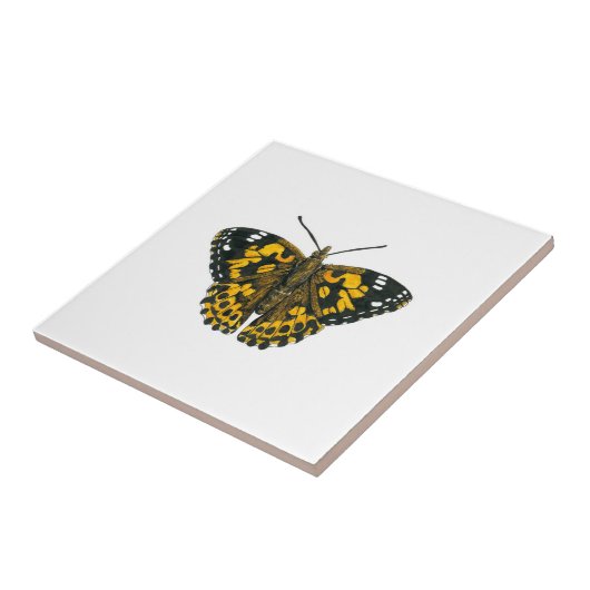 絵を描蝶 タイル (側面)