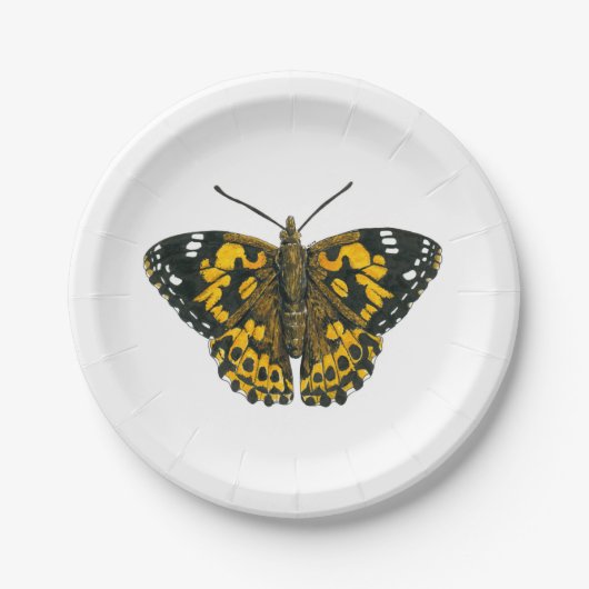 絵を描蝶 ペーパープレート (正面)