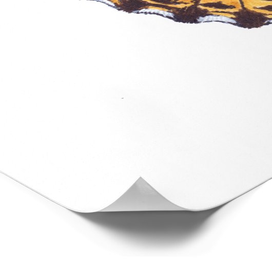 絵を描蝶 ポスター (角)