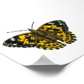 絵を描蝶 ポスター (角)