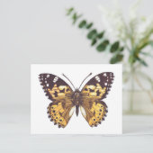 絵を描蝶 ポストカード (スタンド正面)