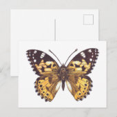 絵を描蝶 ポストカード (正面/裏面)
