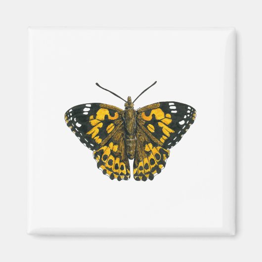 絵を描蝶 マグネット (正面)