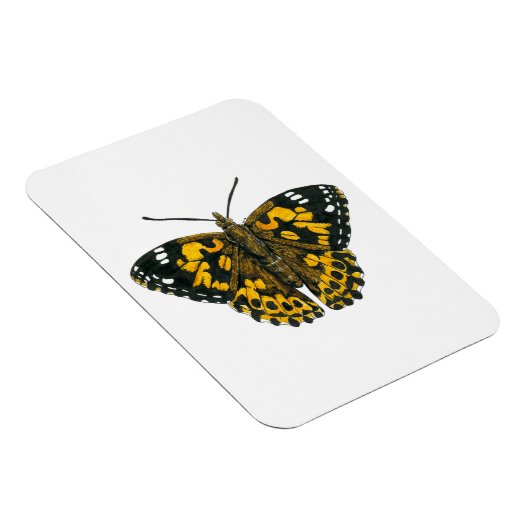 絵を描蝶 マグネット (右側)