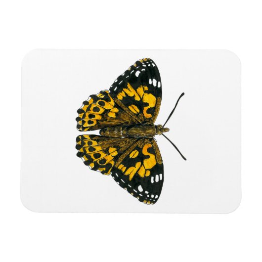 絵を描蝶 マグネット (横)