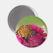 絵を描蝶 マグネット (正面/裏面)