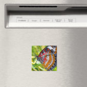 絵を描蝶 マグネット (インサイチュ (食洗機))