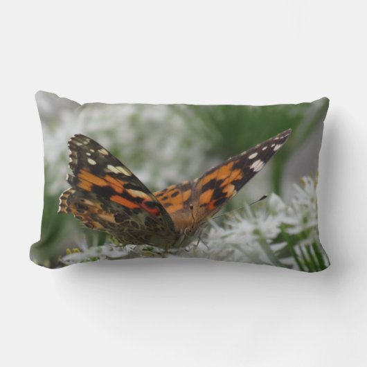 絵を描蝶 ランバークッション (正面)