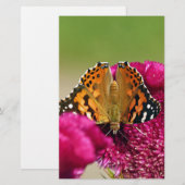 絵を描蝶 便箋 (正面/裏面)