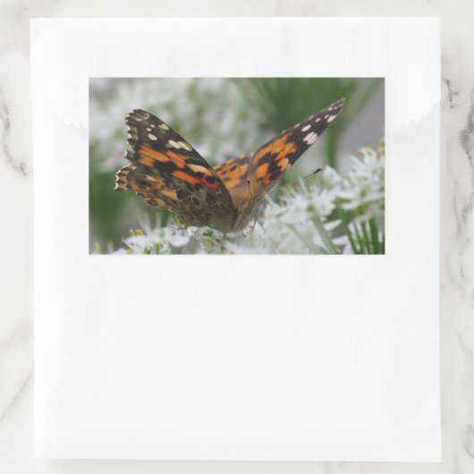 絵を描蝶 長方形シール (バッグ)