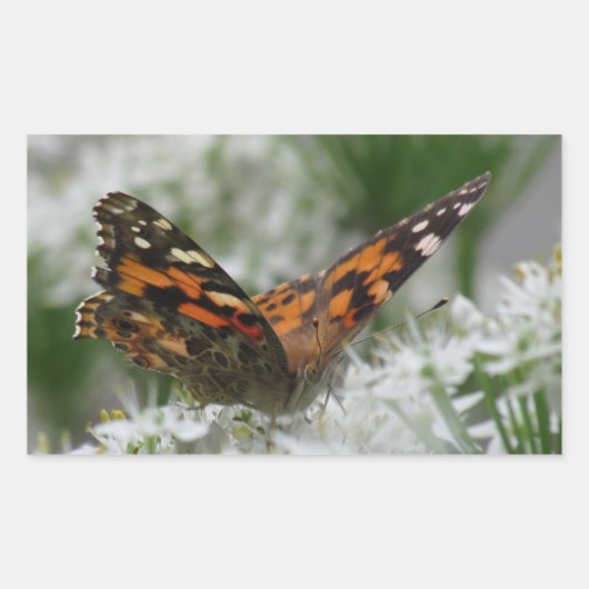 絵を描蝶 長方形シール (正面)