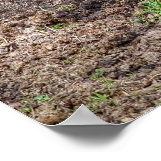 絵を描転がHorse's in Mud写真おもしろいウマ科の ポスター (角)