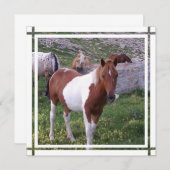 絵を描馬の招待状 招待状 (正面/裏面)