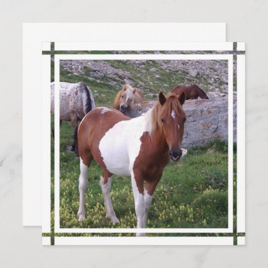 絵を描馬の招待状 招待状 (正面/裏面)