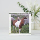 絵を描馬の招待状 招待状 (スタンド正面)