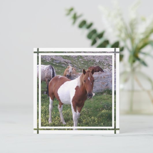 絵を描馬の招待状 招待状 (スタンド正面)