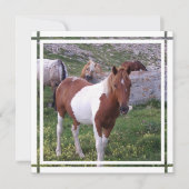 絵を描馬の招待状 招待状 (正面)