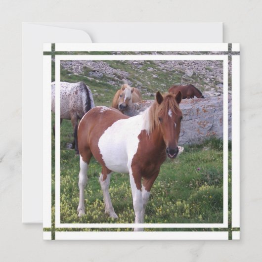 絵を描馬の招待状 招待状 (正面)