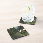 絵を描馬バイフォレストストリーム コースター (右側)