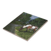 絵を描馬バイフォレストストリーム タイル (側面)