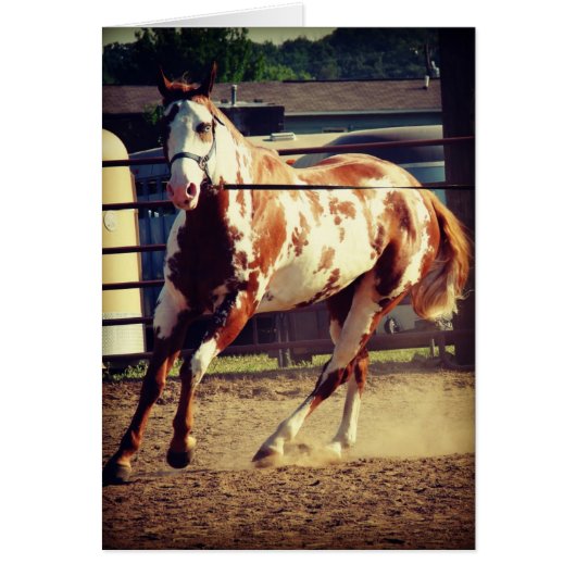 絵を描馬 (正面)