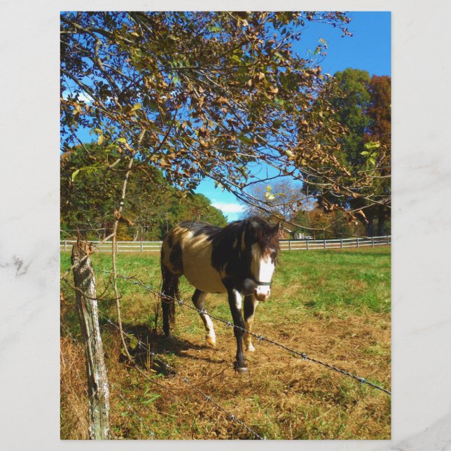 絵を描馬 (正面)