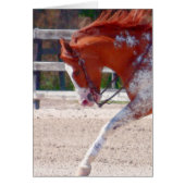 絵を描馬 (正面)