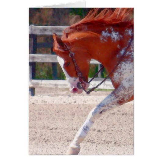 絵を描馬 (正面)