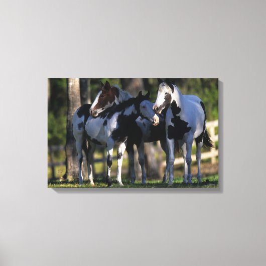 絵を描馬 キャンバスプリント (正面)