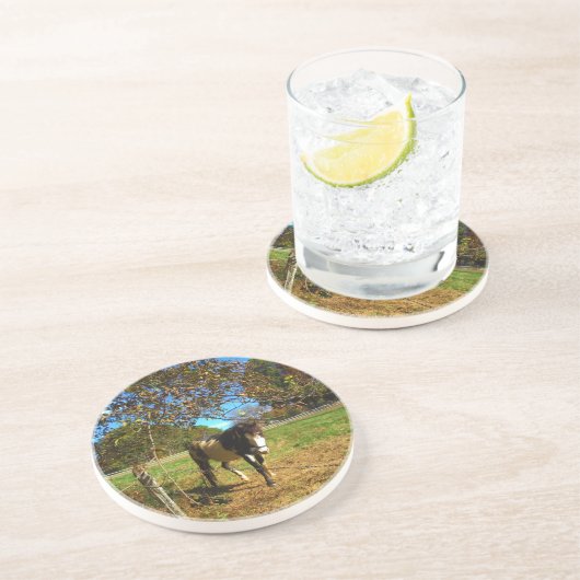 絵を描馬 コースター (側面)