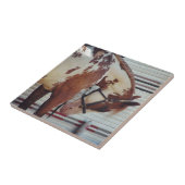 絵を描馬 タイル (側面)