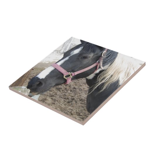 絵を描馬 タイル (側面)