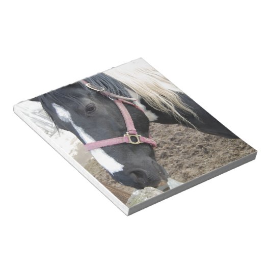 絵を描馬 ノートパッド (アングル)